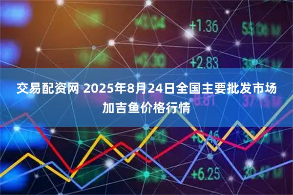 交易配资网 2025年8月24日全国主要批发市场加吉鱼价格行情