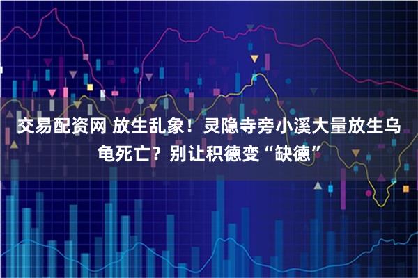 交易配资网 放生乱象！灵隐寺旁小溪大量放生乌龟死亡？别让积德变“缺德”