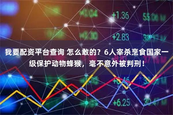 我要配资平台查询 怎么敢的？6人宰杀烹食国家一级保护动物蜂猴，毫不意外被判刑！