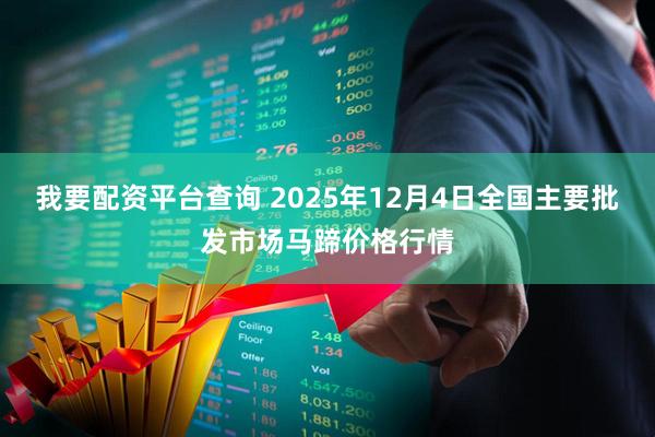 我要配资平台查询 2025年12月4日全国主要批发市场马蹄价格行情